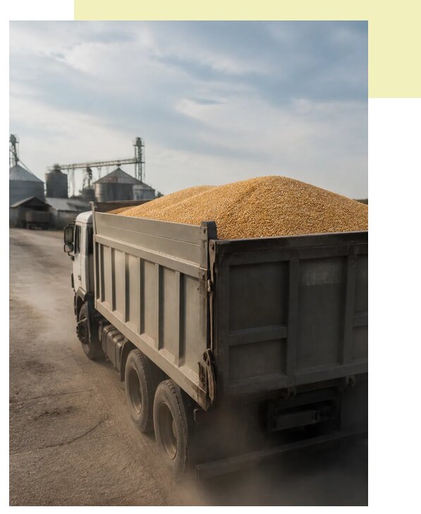 Перевозка сельхозпродукции навалом в Юбилейного по цене от 3091 р. | Агросервис-Юбл